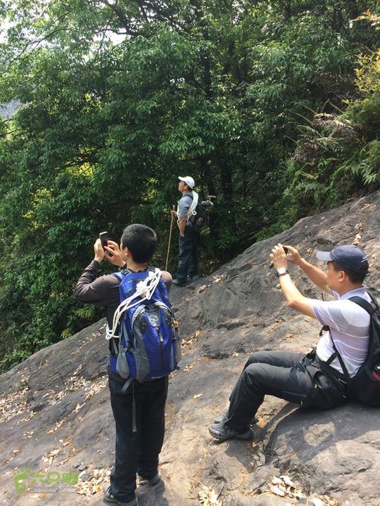 南阳林场穿越探迷十一重溪乌龙吐珠2014-04-19 13:56:02