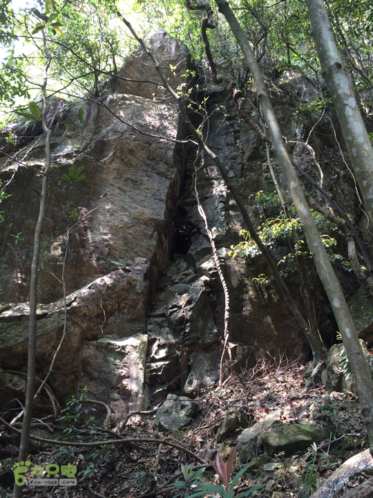 南阳林场穿越探迷十一重溪乌龙吐珠2014-04-19 13:32:45