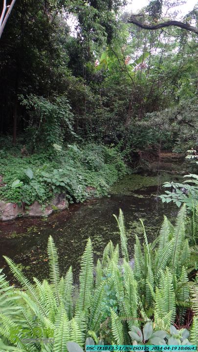桂林植物园-20140419DSC00652