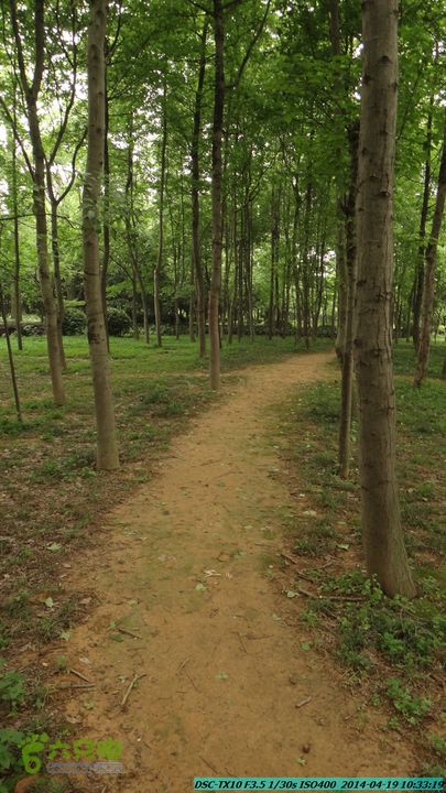 桂林植物园-20140419DSC00677