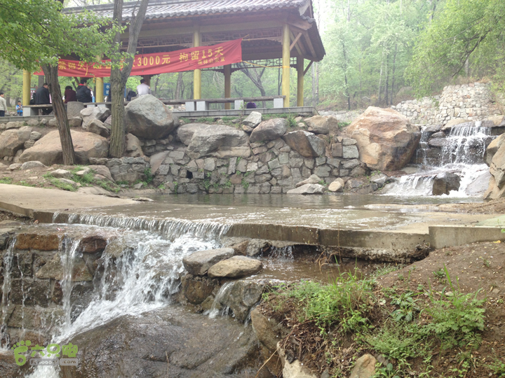 山南张庄槐花香2014-04-20 09:51:20