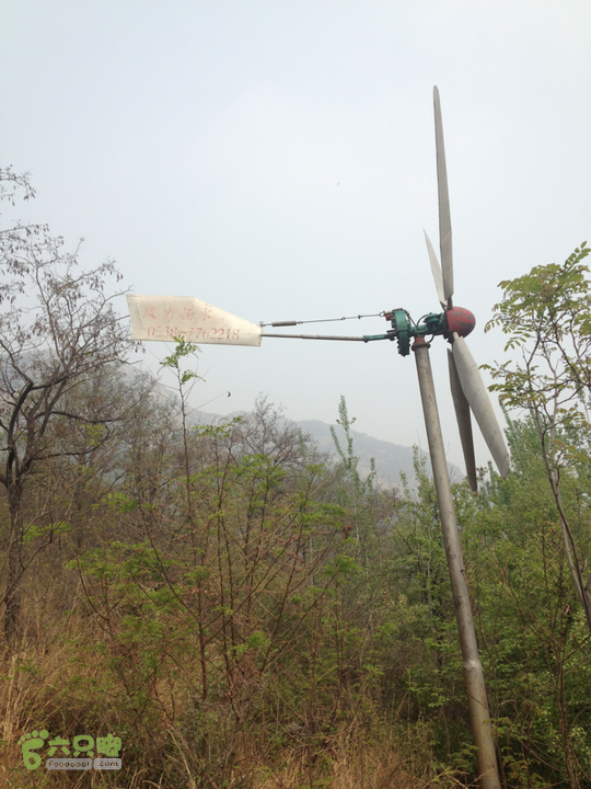 山南张庄槐花香2014-04-20 09:48:52