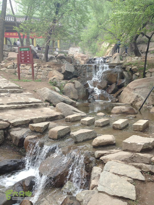 山南张庄槐花香2014-04-20 09:51:51