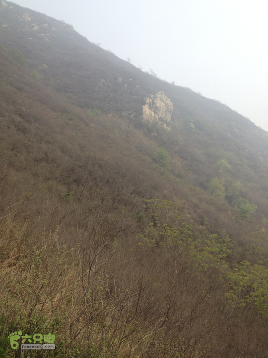 山南张庄槐花香2014-04-20 08:51:25