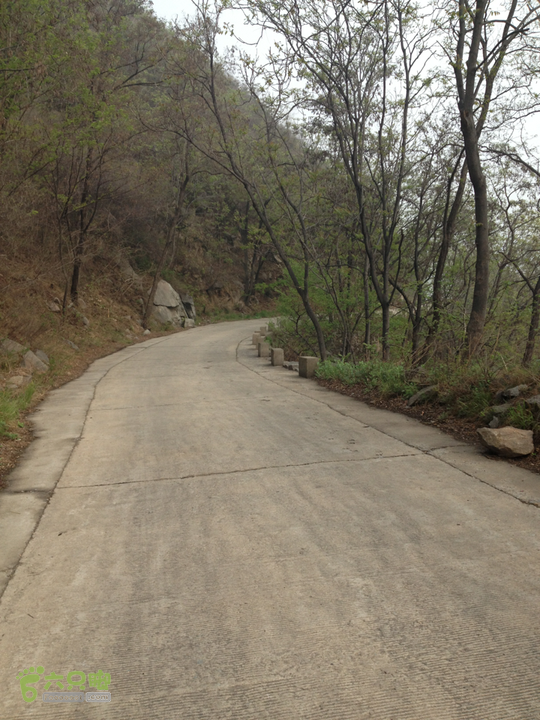 山南张庄槐花香2014-04-20 09:39:30