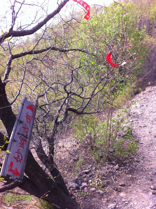 海淀屋脊踏青-三峰连穿指路牌