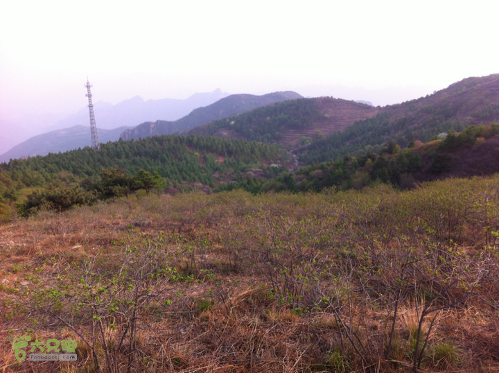 海淀屋脊踏青-三峰连穿山花映树林