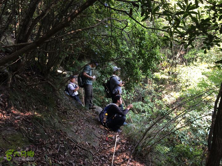 南阳林场穿越探迷十一重溪乌龙吐珠IMG_1011