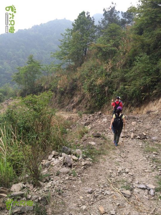 大洋乡崇兴村往返斗湖天池gallery.1397487745852