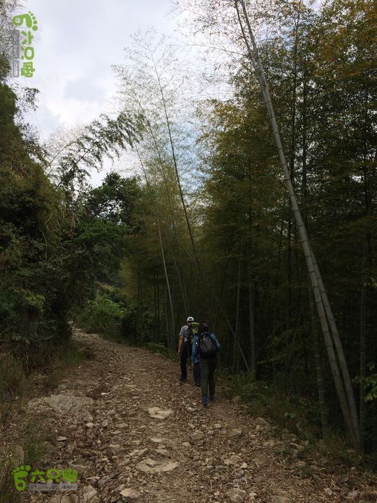 大洋乡崇兴村往返斗湖天池gallery.1397475945276