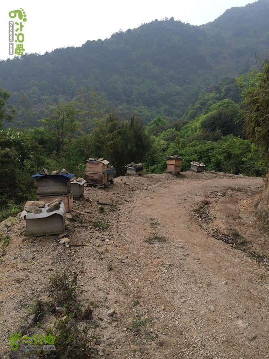 大洋乡崇兴村往返斗湖天池gallery.1397487856874