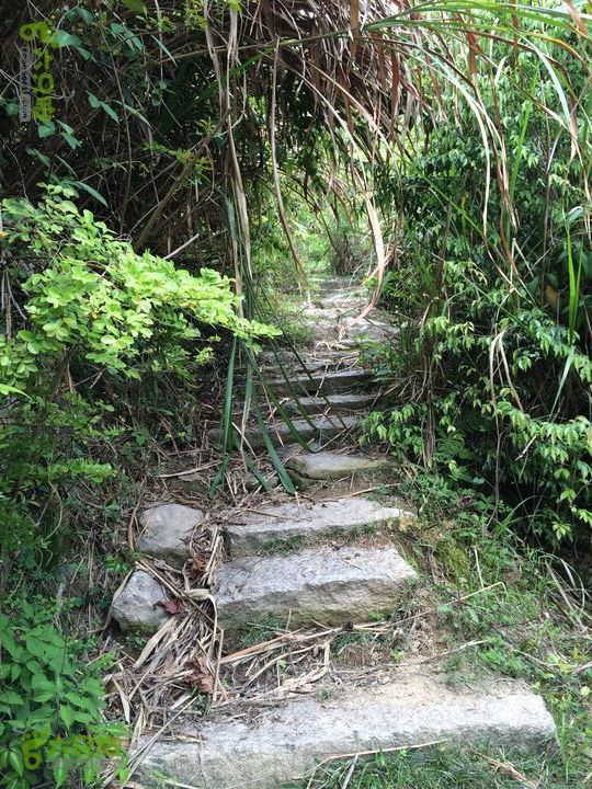 大洋乡崇兴村往返斗湖天池gallery.1397476427701