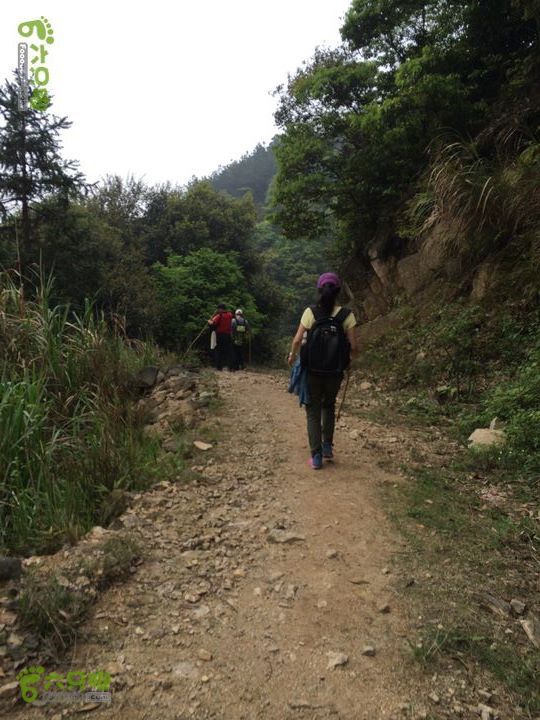 大洋乡崇兴村往返斗湖天池gallery.1397487873123