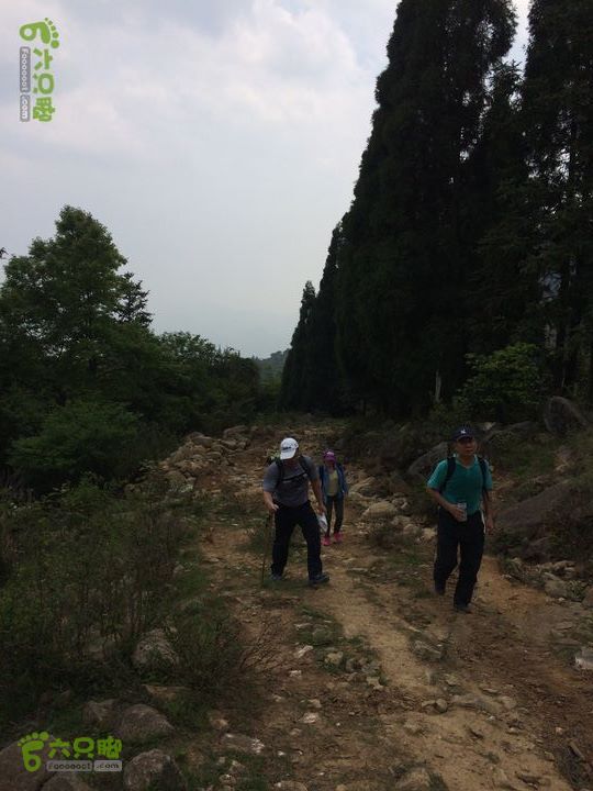 大洋乡崇兴村往返斗湖天池gallery.1397480982890