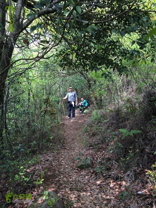 大洋乡崇兴村往返斗湖天池gallery.1397483257202