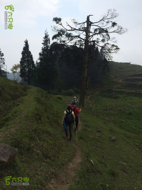 大洋乡崇兴村往返斗湖天池gallery.1397487113693