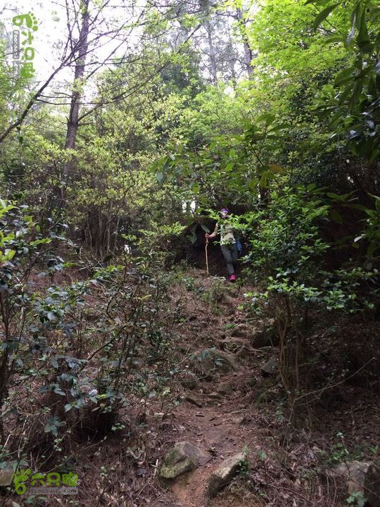 大洋乡崇兴村往返斗湖天池gallery.1397487553616