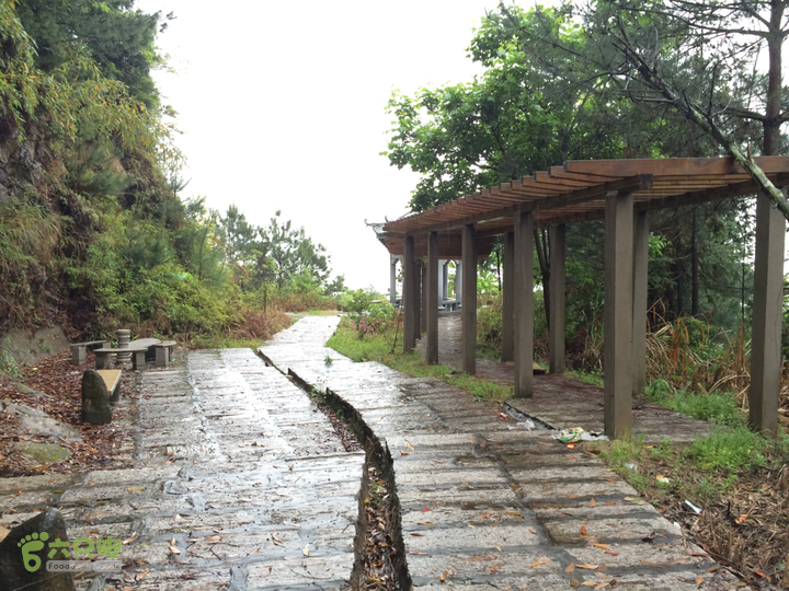 森林公园--升山寺下探路至动物园穿越2014-04-26 12:22:34