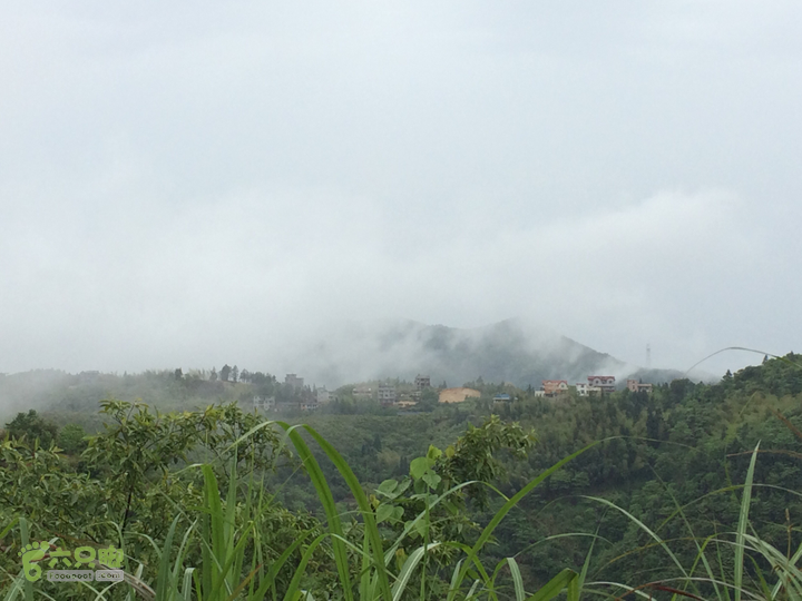 森林公园--升山寺下探路至动物园穿越回头看叶洋村