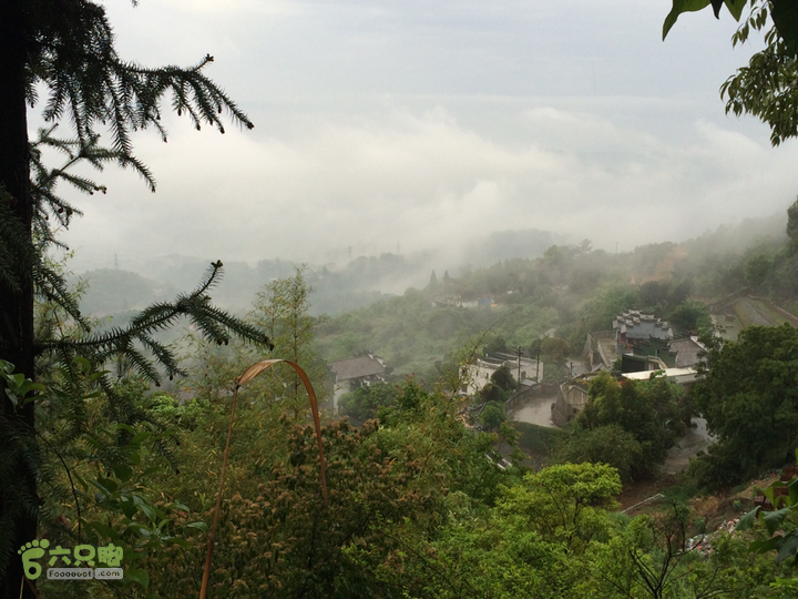 森林公园--升山寺下探路至动物园穿越2014-04-26 12:40:11