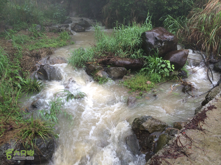 森林公园--升山寺下探路至动物园穿越2014-04-26 10:41:40