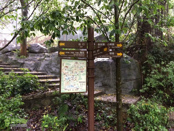 森林公园--升山寺下探路至动物园穿越2014-04-26 13:32:36