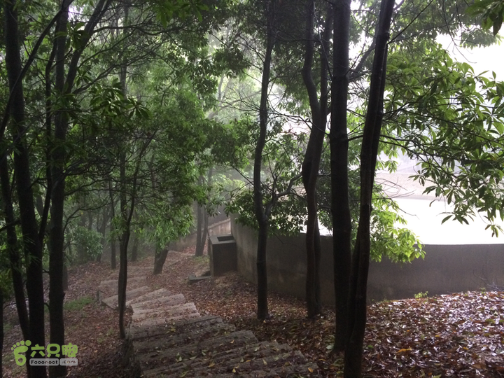 森林公园--升山寺下探路至动物园穿越2014-04-26 13:16:06