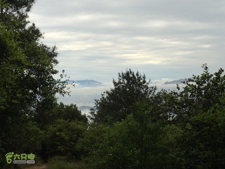 森林公园--升山寺下探路至动物园穿越2014-04-26 12:04:19