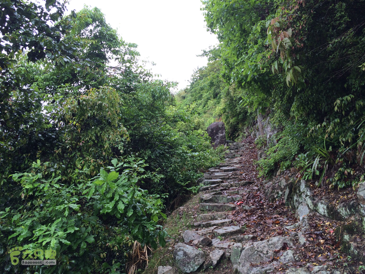 森林公园--升山寺下探路至动物园穿越2014-04-26 11:07:24