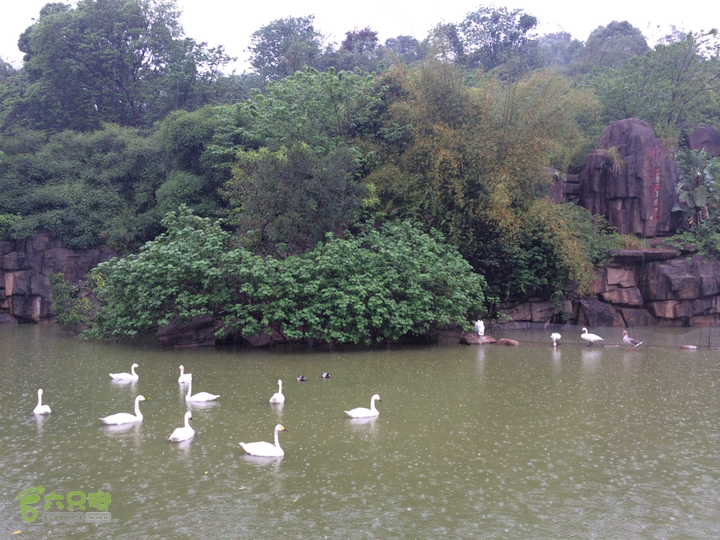 森林公园--升山寺下探路至动物园穿越2014-04-26 13:57:30