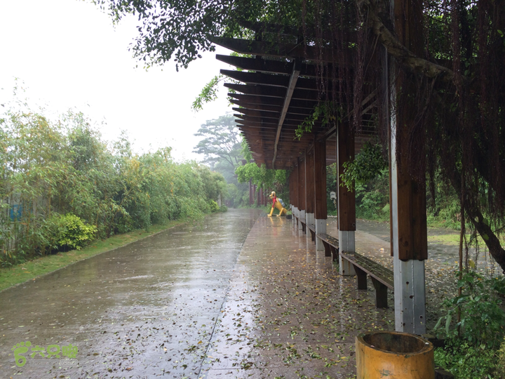 森林公园--升山寺下探路至动物园穿越2014-04-26 13:41:34