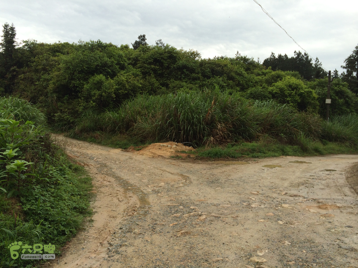 森林公园--升山寺下探路至动物园穿越2014-04-26 11:19:28