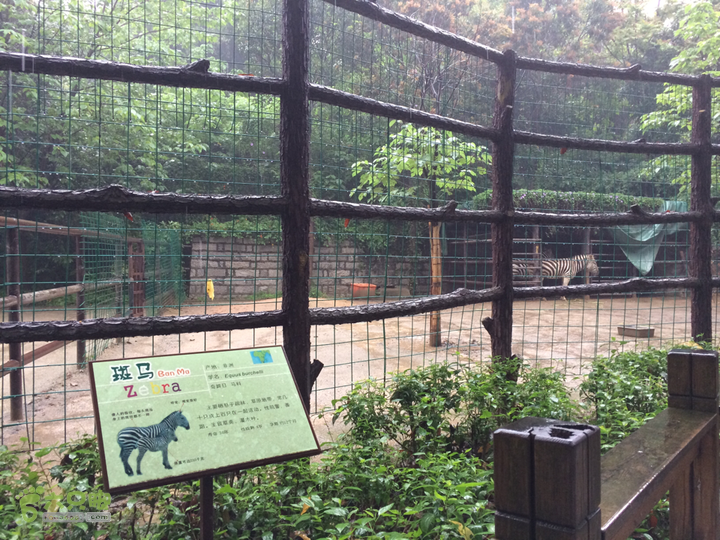 森林公园--升山寺下探路至动物园穿越2014-04-26 13:53:16