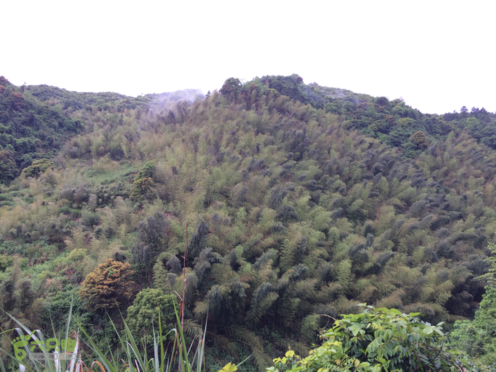 森林公园--升山寺下探路至动物园穿越2014-04-26 10:59:28