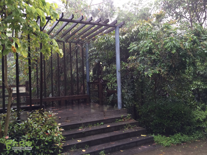 森林公园--升山寺下探路至动物园穿越2014-04-26 13:29:43