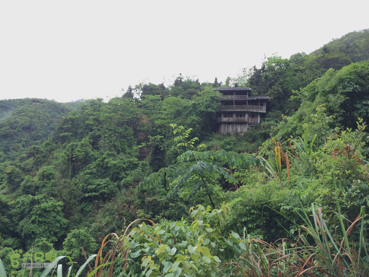 森林公园--升山寺下探路至动物园穿越2014-04-26 11:10:38