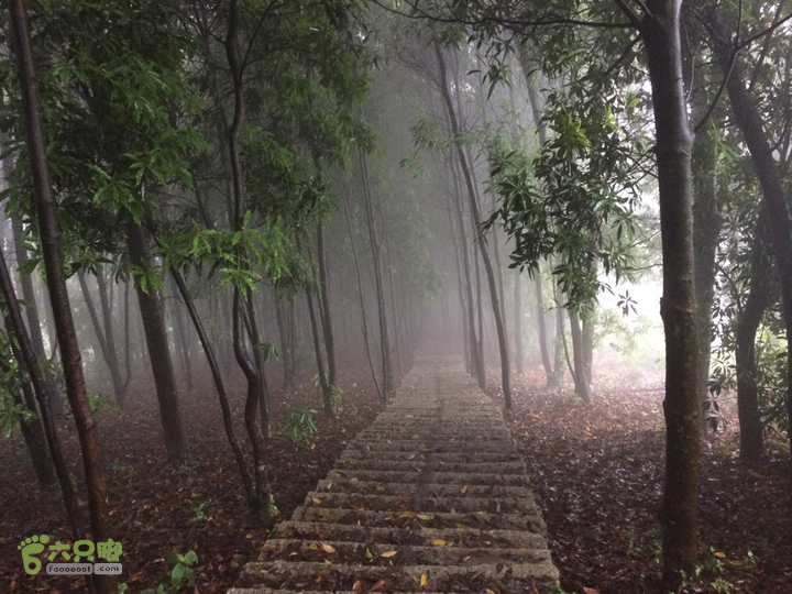 森林公园--升山寺下探路至动物园穿越2014-04-26 13:09:02