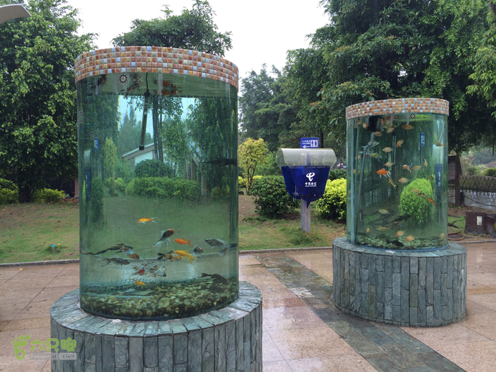 森林公园--升山寺下探路至动物园穿越2014-04-26 13:58:20