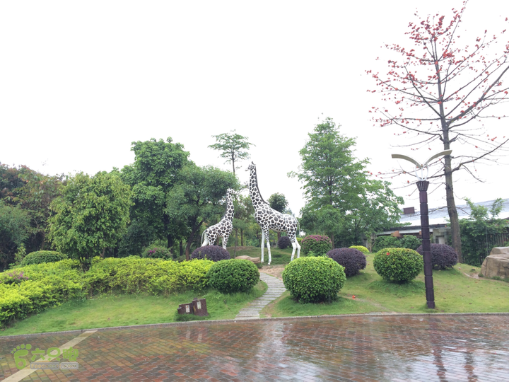 森林公园--升山寺下探路至动物园穿越2014-04-26 14:00:09