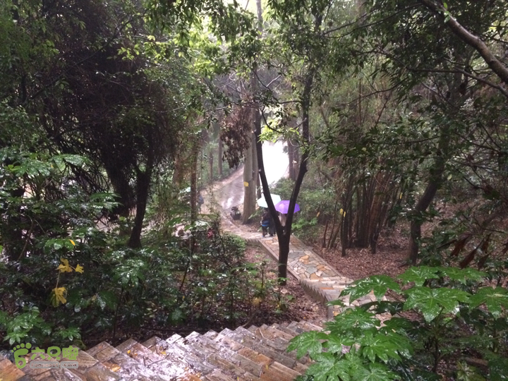 森林公园--升山寺下探路至动物园穿越2014-04-26 13:48:19