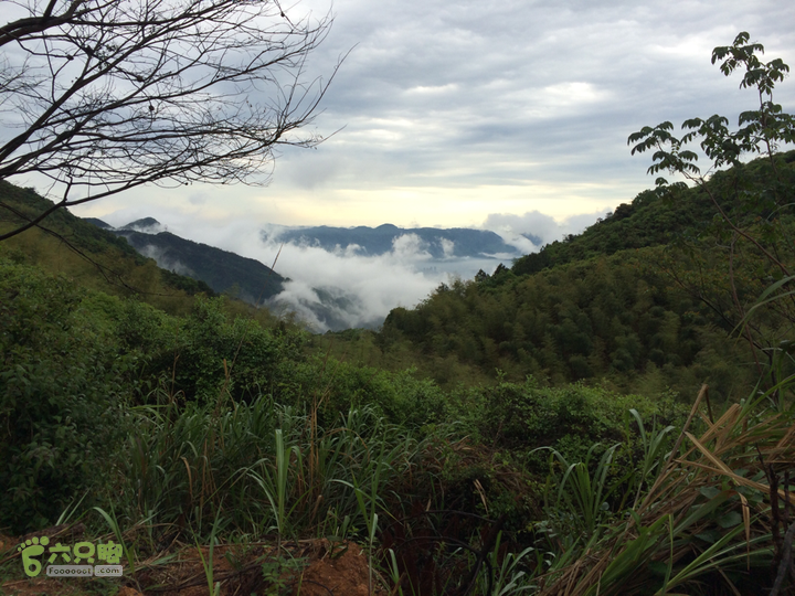 森林公园--升山寺下探路至动物园穿越2014-04-26 11:23:11