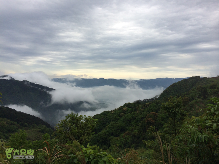 森林公园--升山寺下探路至动物园穿越2014-04-26 11:34:40