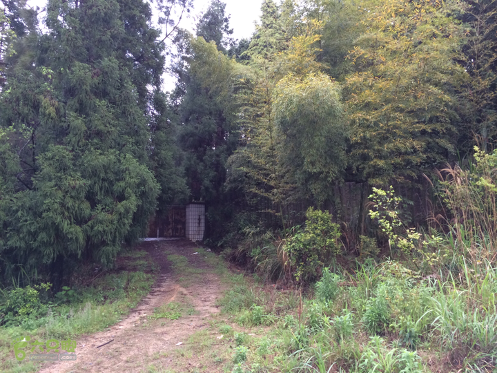 森林公园--升山寺下探路至动物园穿越2014-04-26 11:58:25