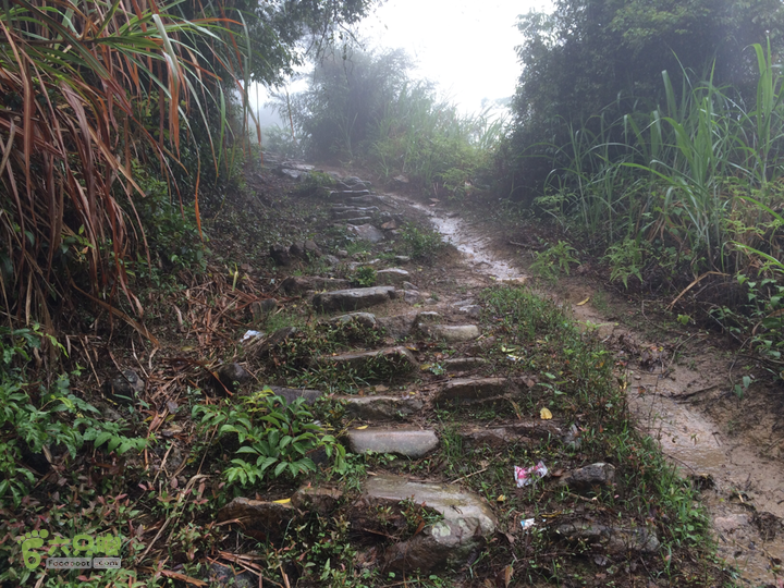 森林公园--升山寺下探路至动物园穿越2014-04-26 10:42:41