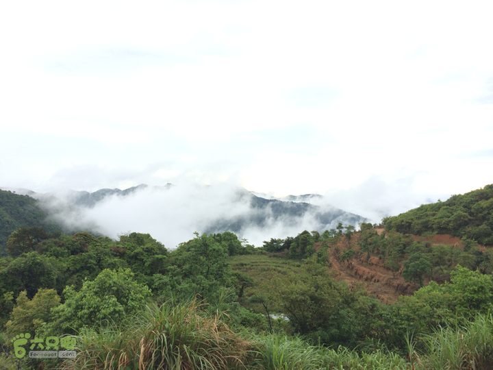 森林公园--升山寺下探路至动物园穿越2014-04-26 11:46:38