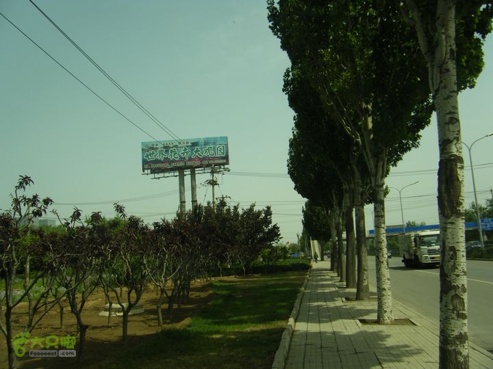 世界公园—大葆台西汉墓—花乡—黄土岗—公益西桥DSCF0078