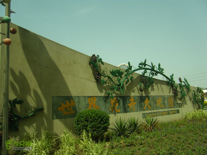 世界公园—大葆台西汉墓—花乡—黄土岗—公益西桥DSCF0082