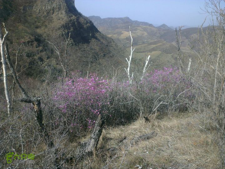 塔尔寺-北灵-实心楼-黄草梁-柏峪2014-04-26 15:14:37