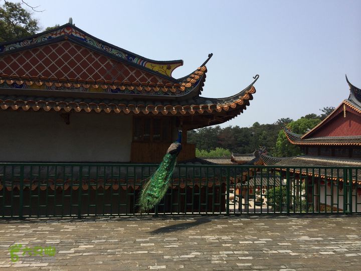 龙门水库--般诺庵--涌泉寺--十八景--下院穿越IMG_1363