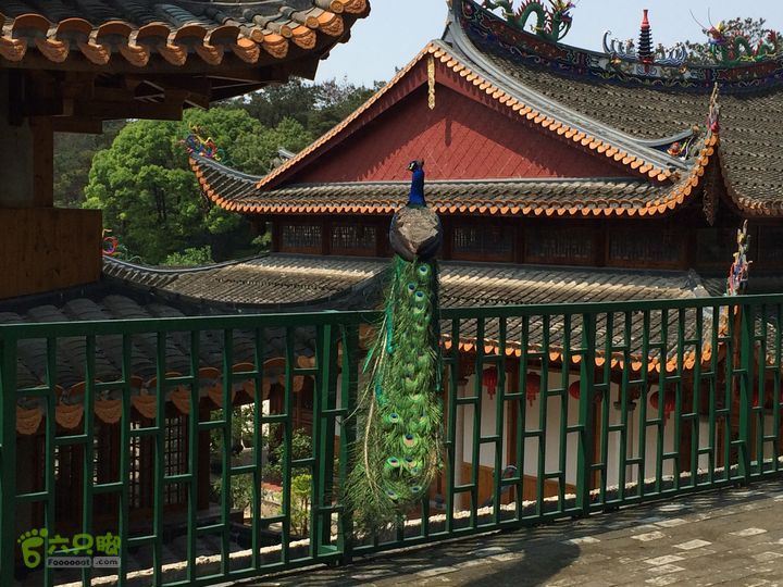 龙门水库--般诺庵--涌泉寺--十八景--下院穿越IMG_1364